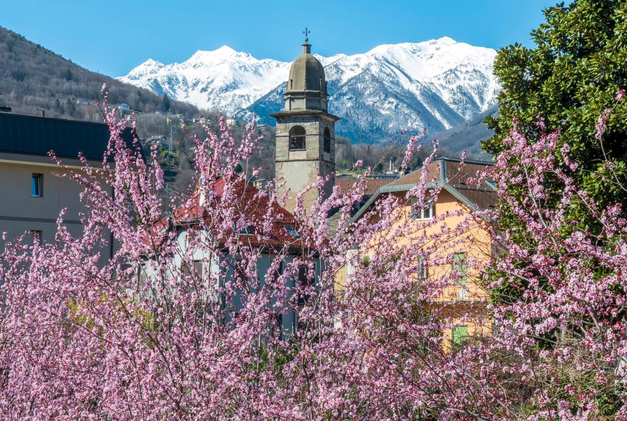 Bed & Breakfast Tiffany Domodossola Exterior photo